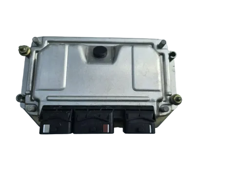 Article GPX5