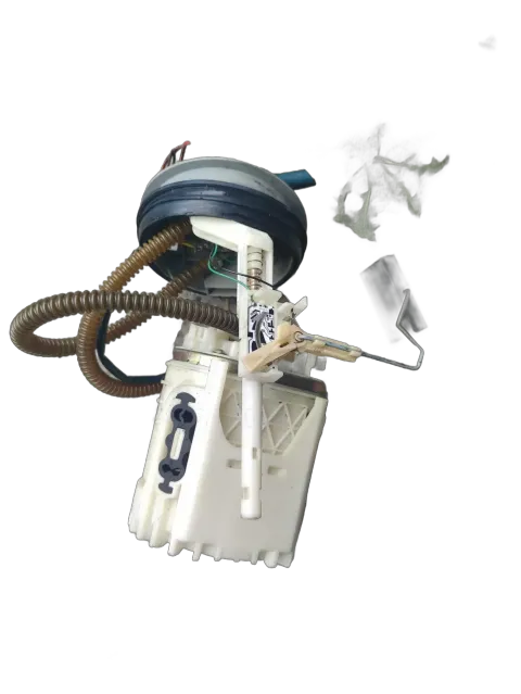 Article 5ZE5