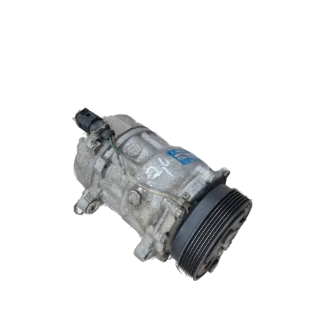 Article PZ5V