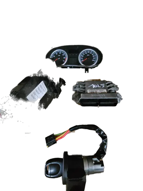 Article X95Q