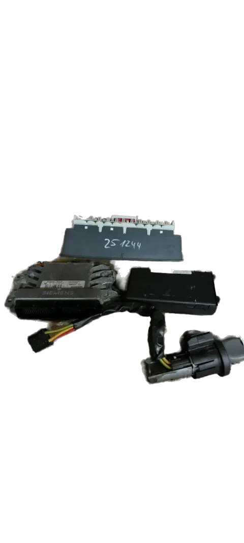 Article GVO2