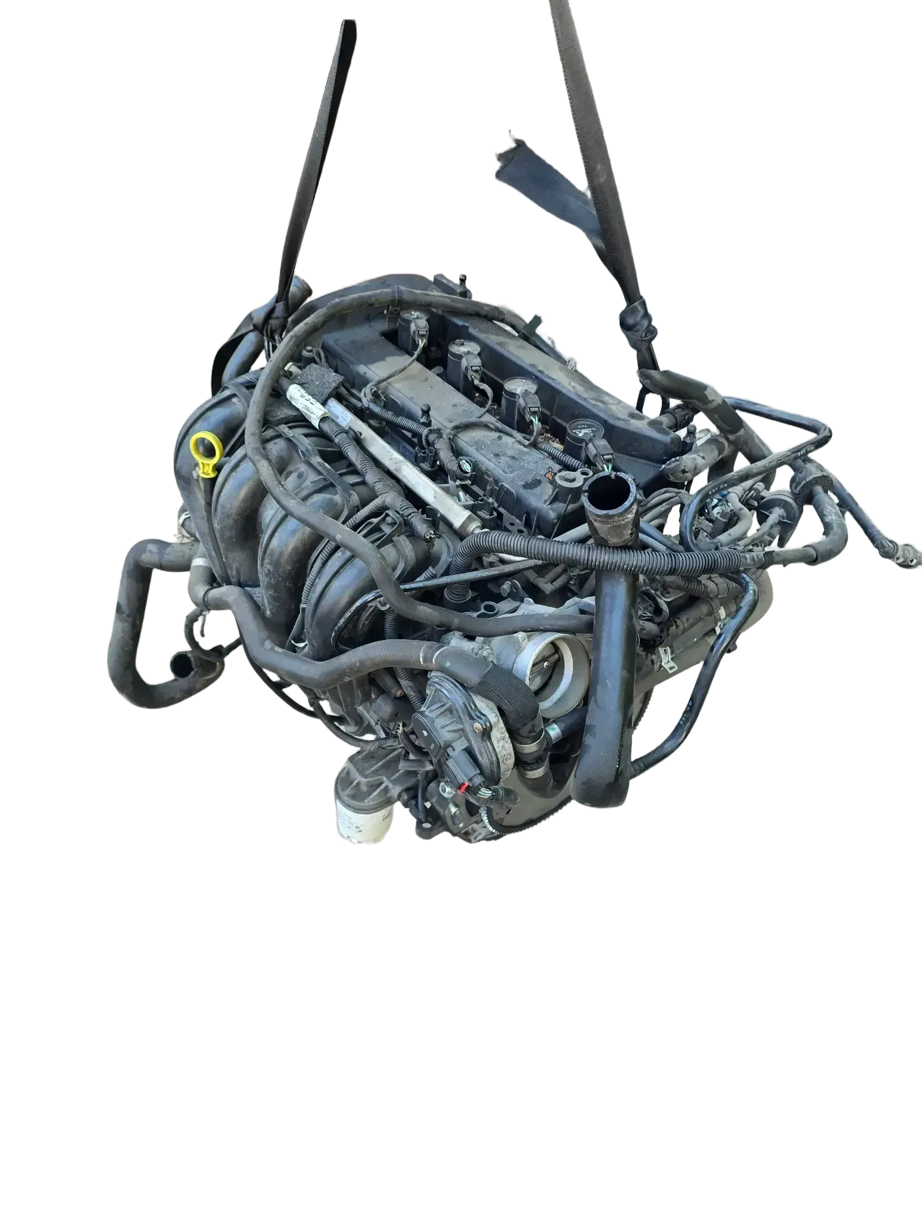 AODA Motor ohne Anbauteile 209234 km Ford Focus 2.0 16V 107KW DA3/DB3 - Bild 1