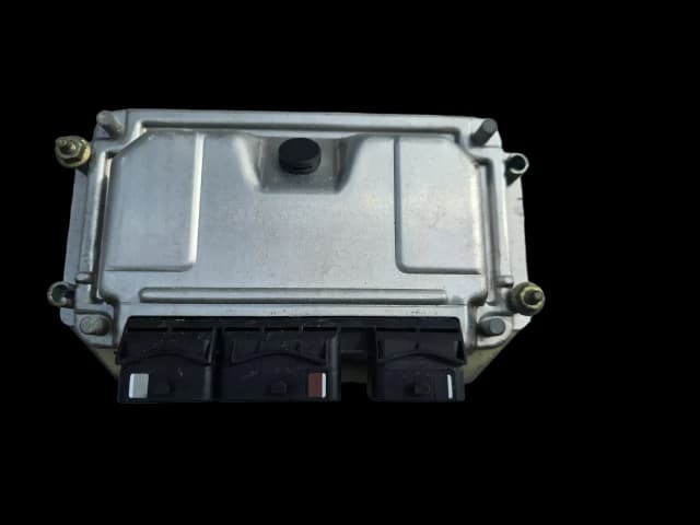 Article GPX5