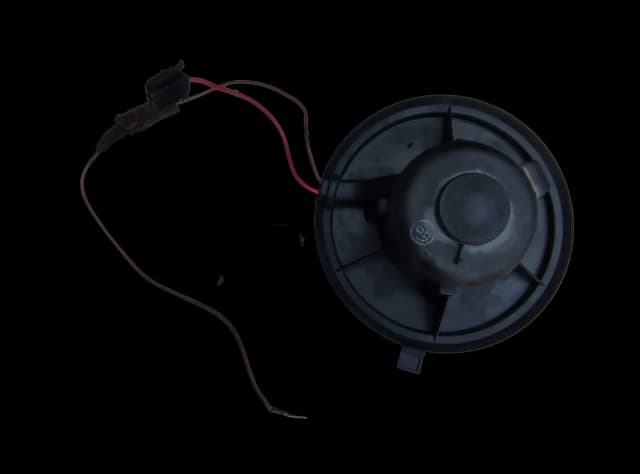 Article XWN5